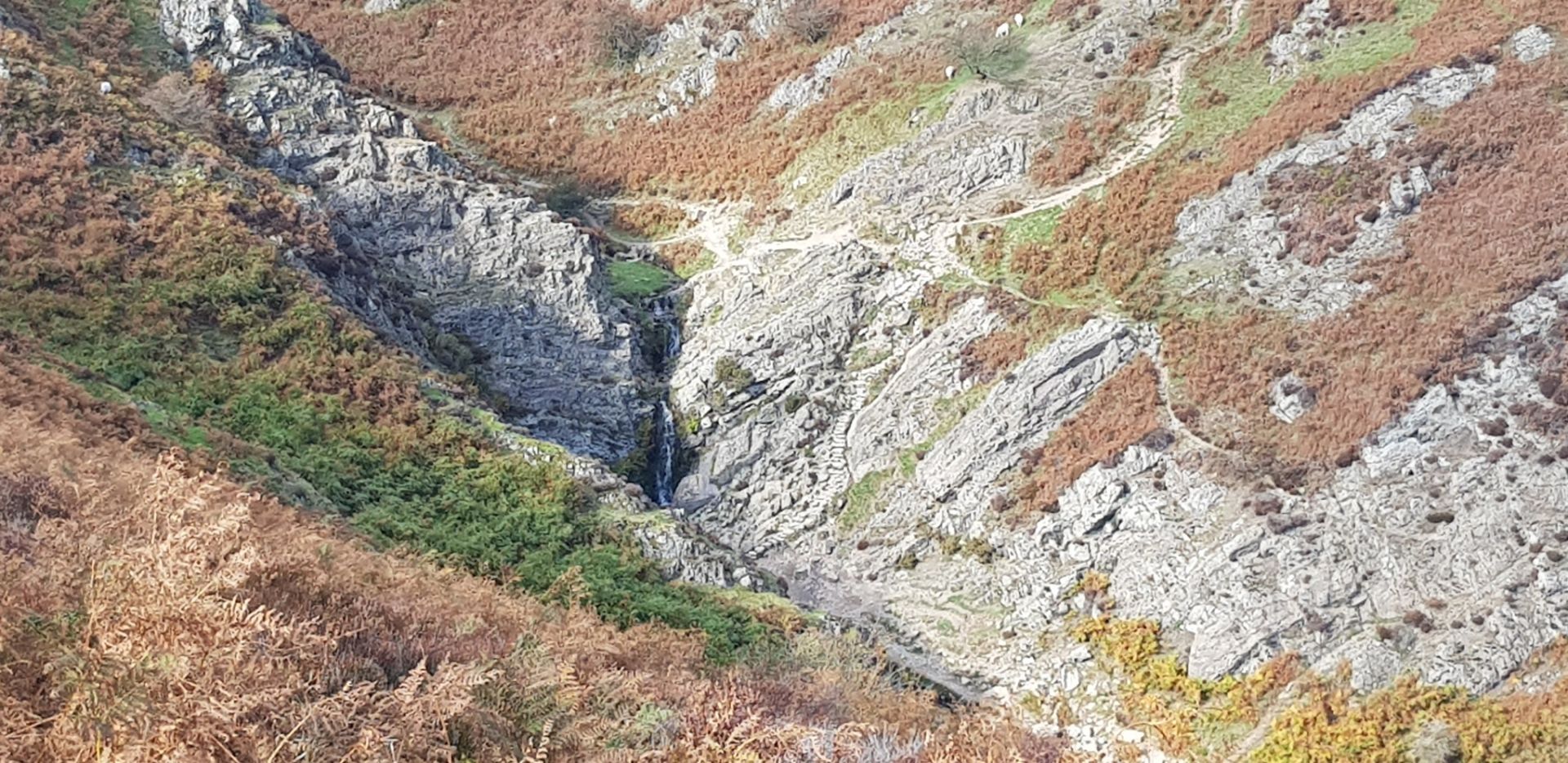 A Light Spout View
